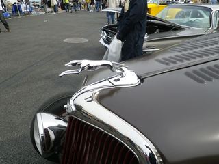 14.04.13XgJ[ (19).JPG