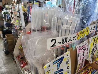 20220729_171204_R.jpg