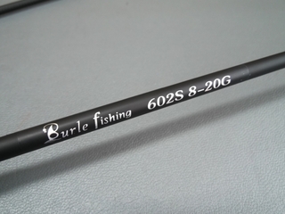 BS08-602S (3).JPG