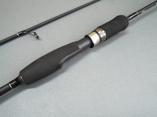BS08-602S (5).JPG