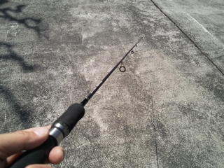 BS08-602S (8).JPG