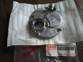 DSCN0821.JPG
