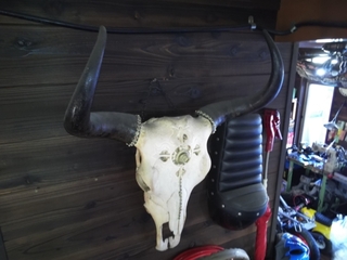 DSCN7653.JPG
