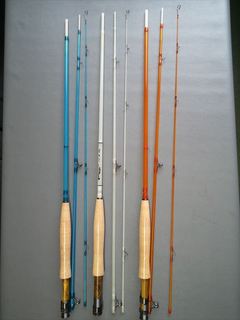 tCbh (31).JPG