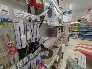 PXL_20240608_084549094_R.jpg