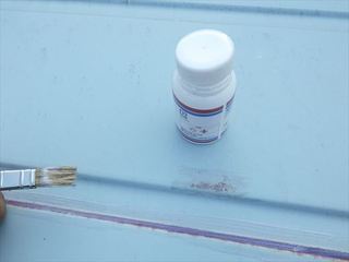 RIMG9222_R.JPG
